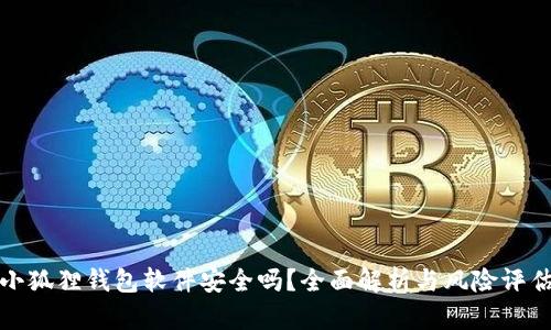小狐狸钱包软件安全吗？全面解析与风险评估