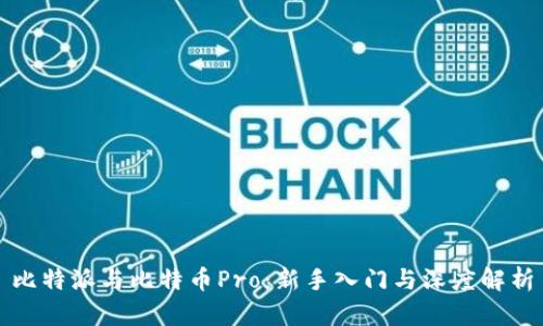 比特派与比特币Pro：新手入门与深度解析