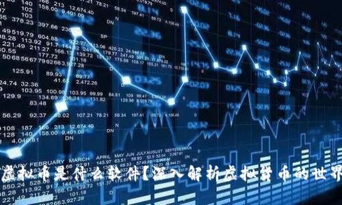 虚拟币是什么软件？深入解析虚拟货币的世界