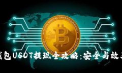: 冷钱包USDT提现全攻略：安全与效率兼得
