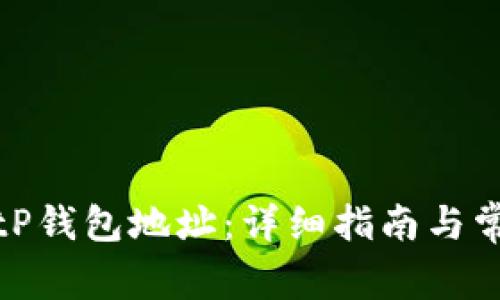 如何查看BitP钱包地址：详细指南与常见问题解答