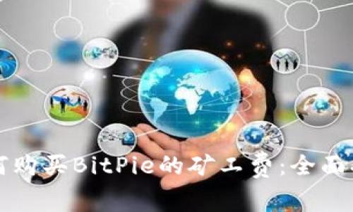 如何购买BitPie的矿工费：全面指南