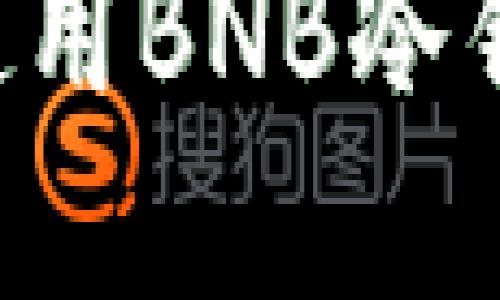 如何选择和使用BNB冷钱包：全面指南