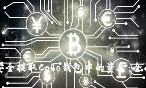 如何安全提取Cobo钱包中的资金：全面指南