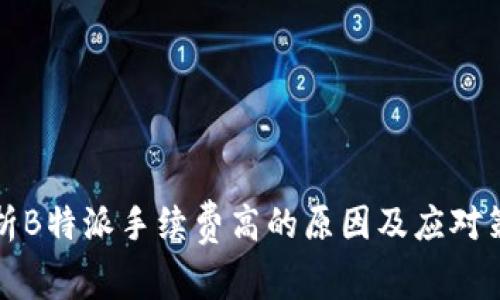 解析B特派手续费高的原因及应对策略