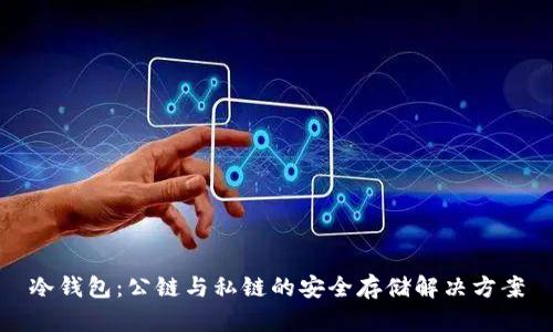 冷钱包：公链与私链的安全存储解决方案