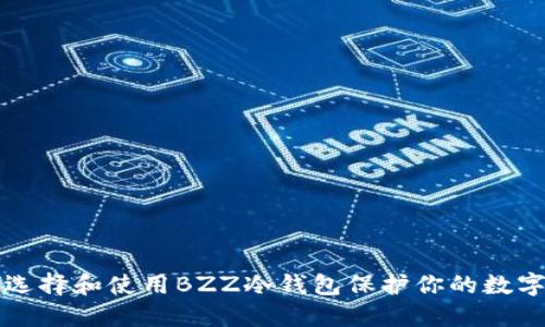 如何选择和使用BZZ冷钱包保护你的数字资产