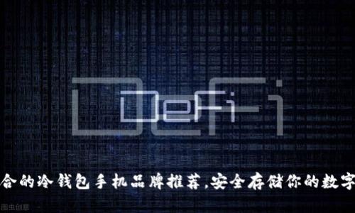 最适合的冷钱包手机品牌推荐，安全存储你的数字资产
