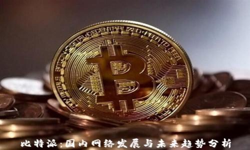 
比特派：国内网络发展与未来趋势分析