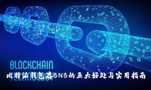 比特派钱包存BNB的五大好处与实用指南