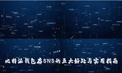 比特派钱包存BNB的五大好处与实用指南