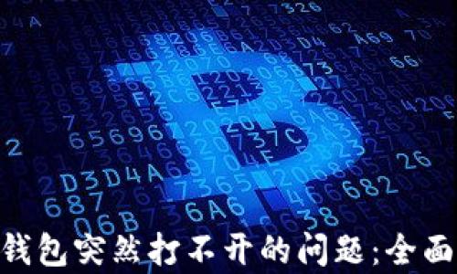 
如何解决Bitpie钱包突然打不开的问题：全面分析与解决方案