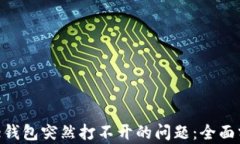 如何解决Bitpie钱包突然打不开的问题：全面分析