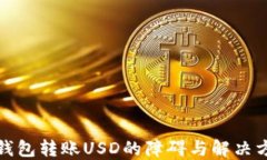 冷钱包转账USD的障碍与解决方案