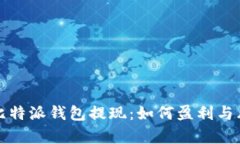题目： 比特派钱包提现：如何盈利与风险分析