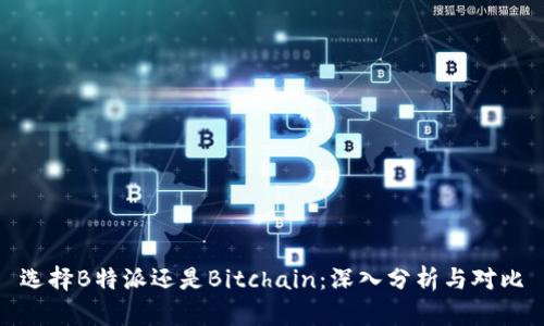 选择B特派还是Bitchain：深入分析与对比