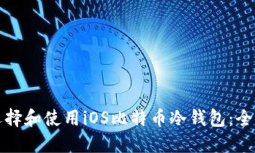 如何选择和使用iOS比特币冷钱包：全面指南
