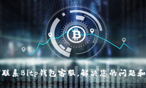 如何联系Bitp钱包客服，解决您的问题和疑虑