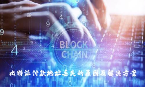 比特派付款地址丢失的原因及解决方案