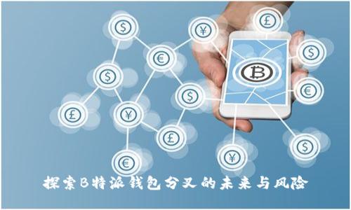 探索B特派钱包分叉的未来与风险