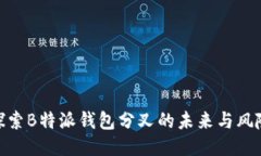 探索B特派钱包分叉的未来与风险