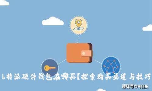 b特派硬件钱包在哪买？探索购买渠道与技巧