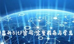 如何找回您的BitP密码：完整指南与常见问题解答