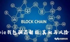 Bitpie钱包骗局解析：真相与风险分析