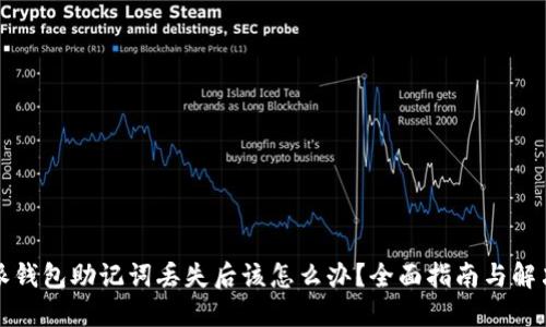 比特派钱包助记词丢失后该怎么办？全面指南与解决方案