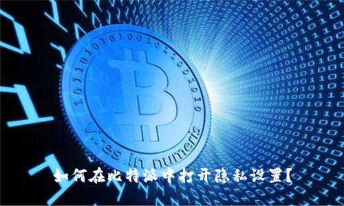 如何在比特派中打开隐私设置？