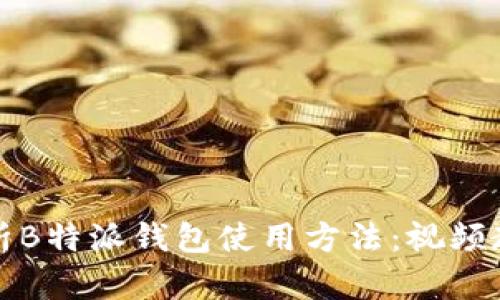 全面解析B特派钱包使用方法：视频教程全集