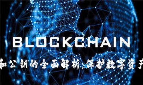 冷钱包私钥和公钥的全面解析：保护数字资产的安全秘籍