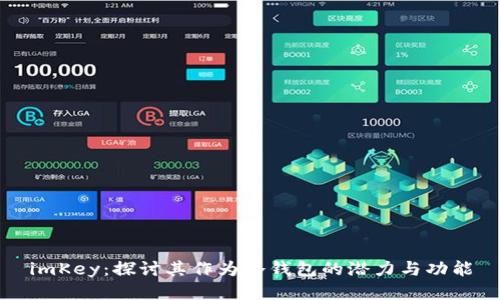 imKey：探讨其作为冷钱包的潜力与功能