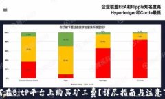 如何在BitP平台上购买矿工费？详尽指南与注意事
