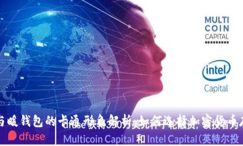 冷钱包与暖钱包的卡通形象解析：如何选择加密货币存储方式
