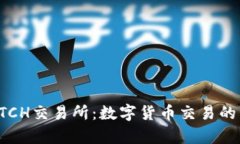 全面解析BTCH交易所：数字货币交易的未来领导者