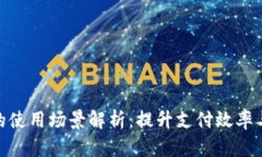 数字钱包的使用场景解析：提升支付效率与用户