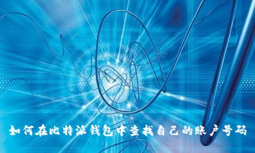 如何在比特派钱包中查找自己的账户号码