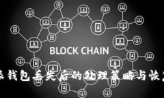 比特派钱包丢失后的处理策略与恢复指南