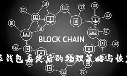 比特派钱包丢失后的处理策略与恢复指南