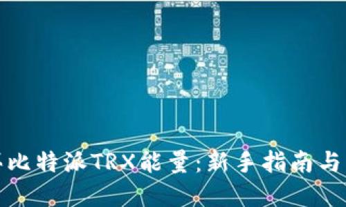 如何购买比特派TRX能量：新手指南与实用技巧