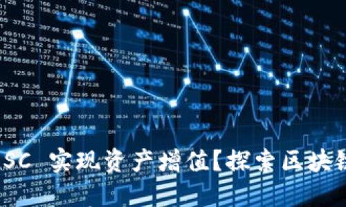 如何通过比特派 SC 实现资产增值？探索区块链投资的成功之道