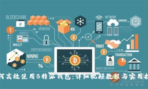 如何高效使用B特派钱包：详细视频教程与实用技巧