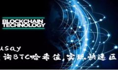  pinakamahusay   如何高效查询BTC哈希值，实现快速区