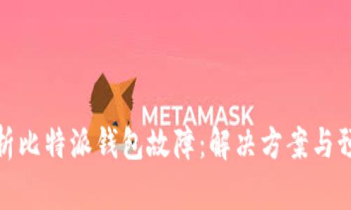 深入解析比特派钱包故障：解决方案与预防措施