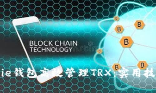 如何利用Bitpie钱包高效管理TRX：实用技巧与成功案例