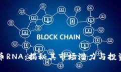 虚拟币RNA：揭秘其市场潜力与投资价值