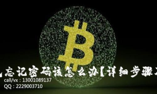 Bitpie钱包忘记密码该怎么办？详细步骤及解决方案
