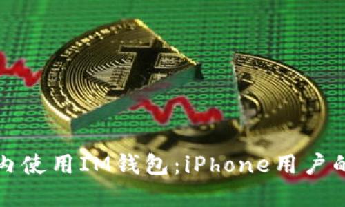 如何在国内使用IM钱包：iPhone用户的全面指南
