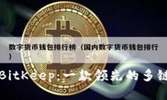 全面评价BitKeep：一款领先的多链数字钱包